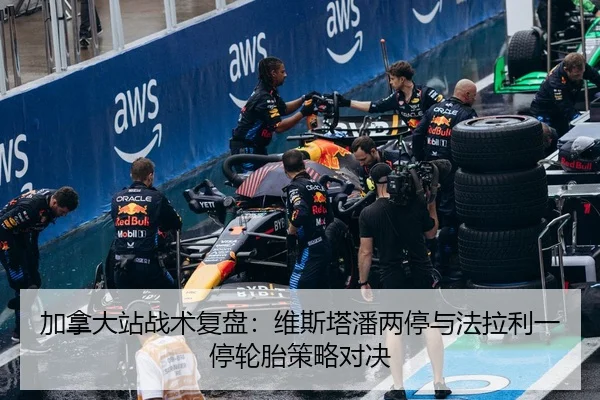 jia-na-da-zhan-zhan-shu-fu-pan-wei-si-ta-pan-liang-ting-yu-fa-la-li-yi-ting-lun-tai-ce-lve-dui-jue-3-233.jpg