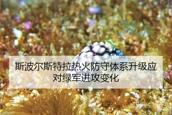 si-bo-er-si-te-la-re-huo-fang-shou-ti-xi-sheng-ji-ying-dui-lv-jun-jin-gong-bian-hua-3-819.jpg