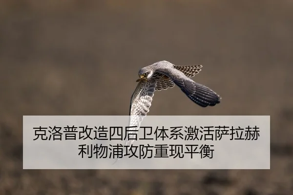 ke-luo-pu-gai-zao-si-hou-wei-ti-xi-ji-huo-sa-la-he-li-wu-pu-gong-fang-chong-xian-ping-heng-2-135.jpg